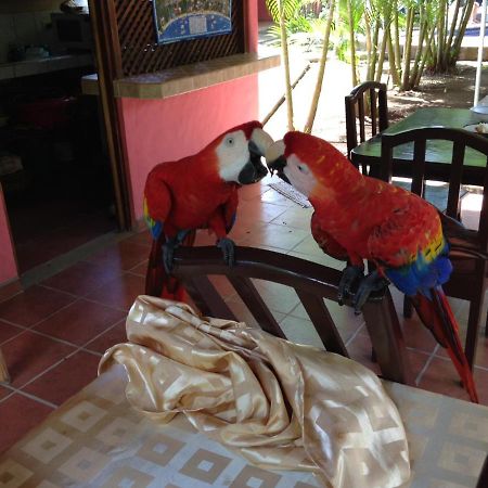 Hotel El Paraiso Escondido - Costa Rica Jaco Ngoại thất bức ảnh