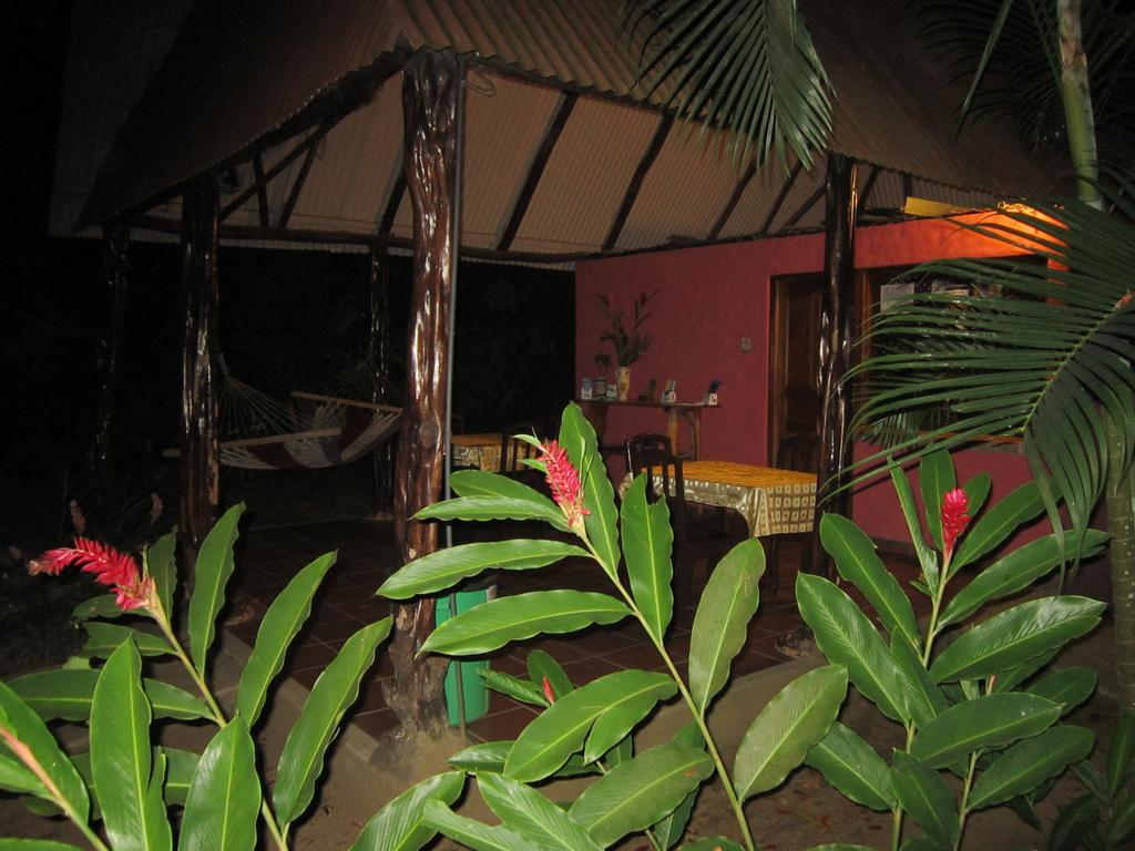 Hotel El Paraiso Escondido - Costa Rica Jaco Ngoại thất bức ảnh