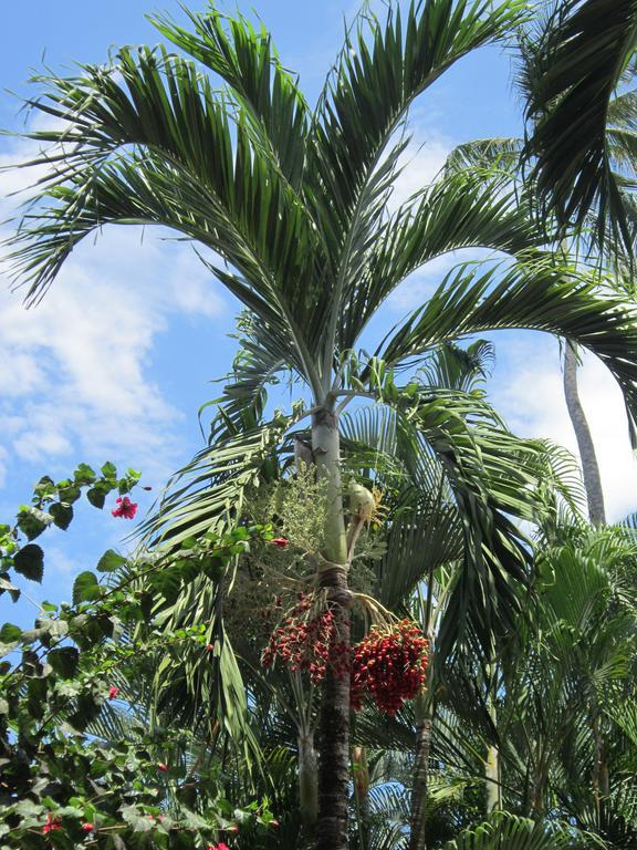 Hotel El Paraiso Escondido - Costa Rica Jaco Ngoại thất bức ảnh