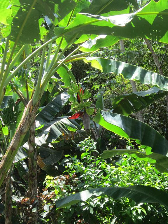 Hotel El Paraiso Escondido - Costa Rica Jaco Ngoại thất bức ảnh