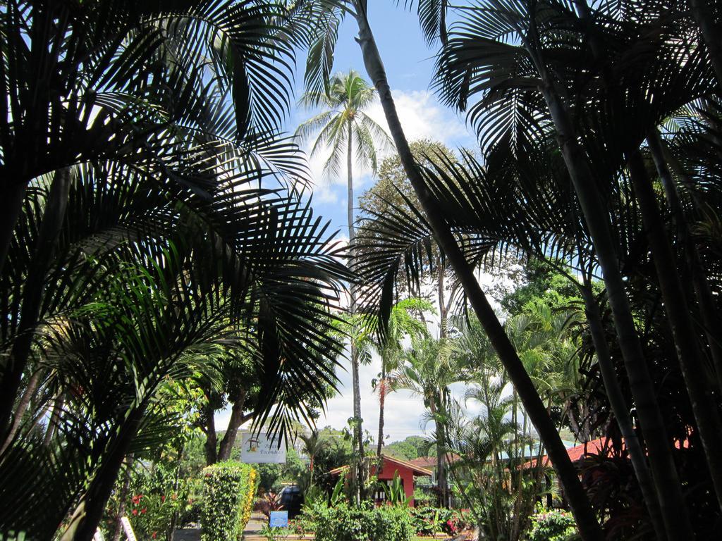 Hotel El Paraiso Escondido - Costa Rica Jaco Ngoại thất bức ảnh