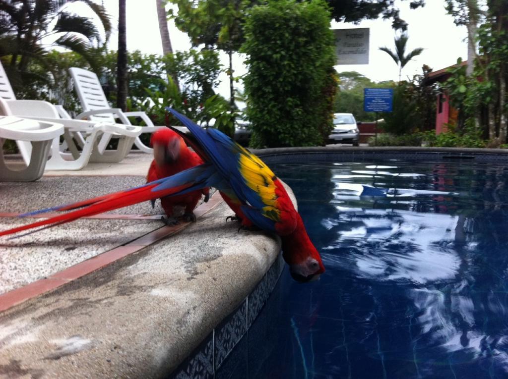 Hotel El Paraiso Escondido - Costa Rica Jaco Ngoại thất bức ảnh
