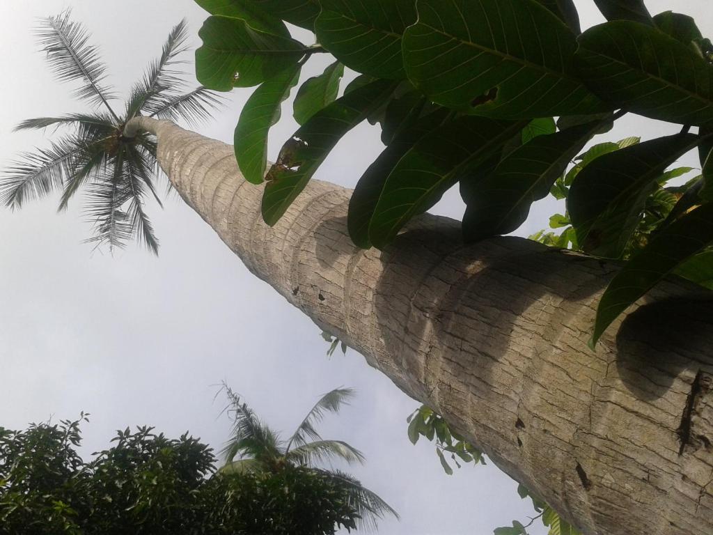 Hotel El Paraiso Escondido - Costa Rica Jaco Ngoại thất bức ảnh