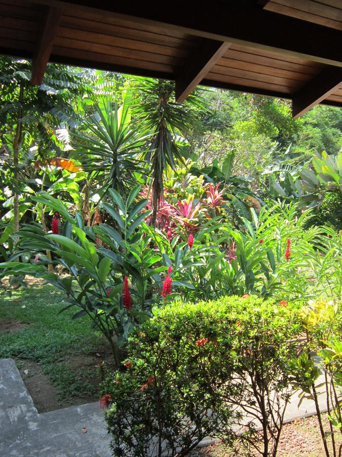 Hotel El Paraiso Escondido - Costa Rica Jaco Ngoại thất bức ảnh