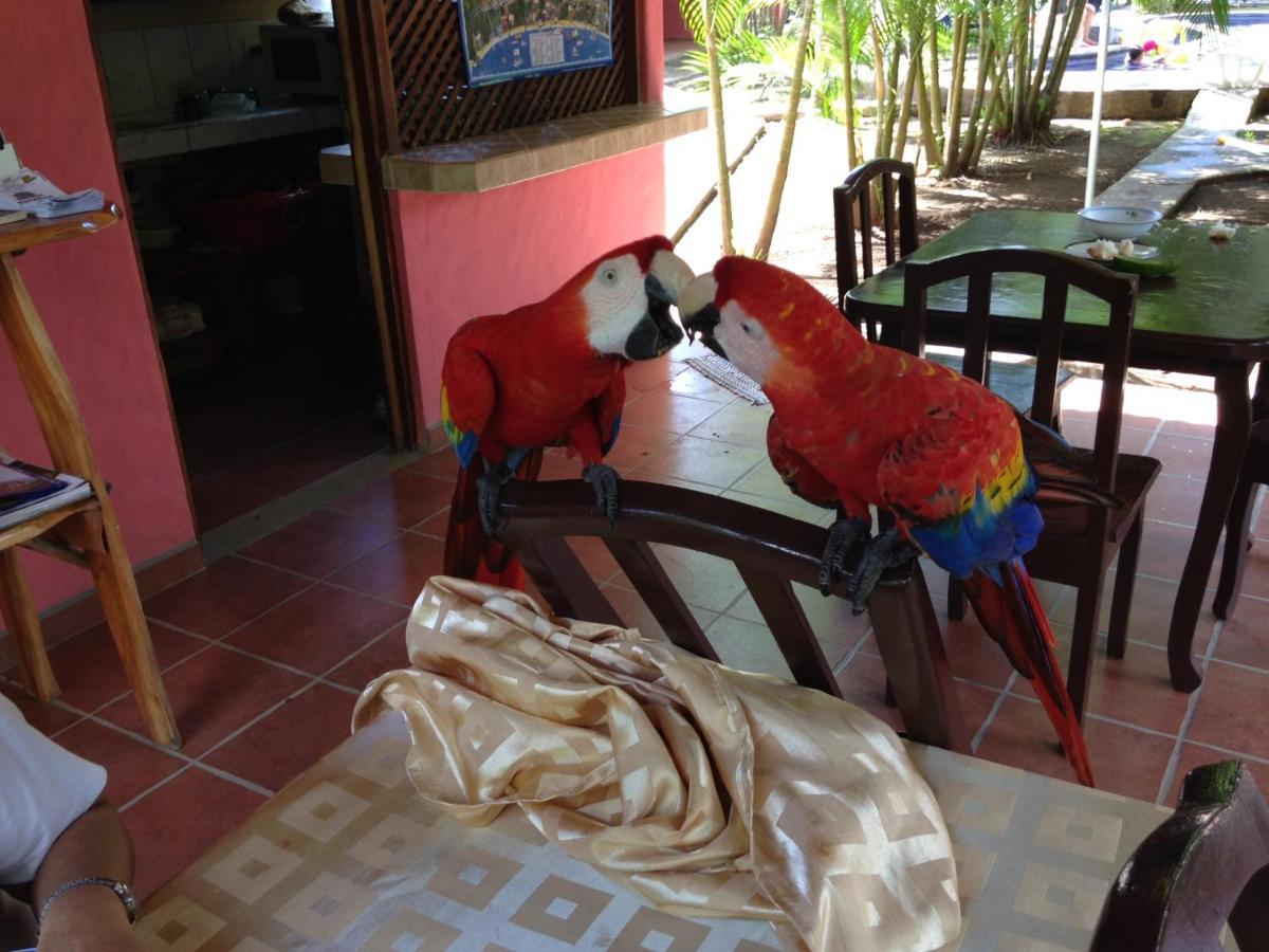 Hotel El Paraiso Escondido - Costa Rica Jaco Ngoại thất bức ảnh
